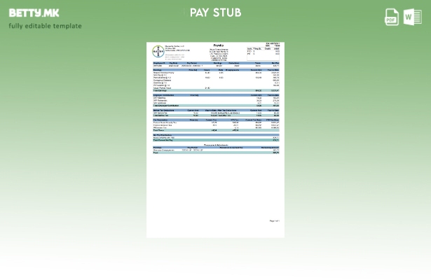 Модерен стил шаблон Bayer paystub